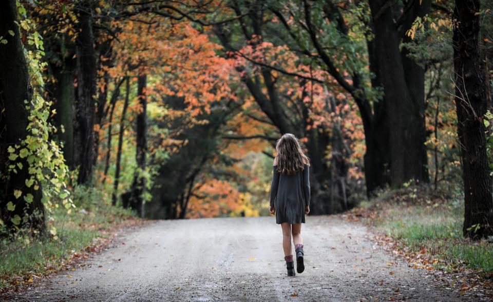 Autumn Stroll Shutterbug